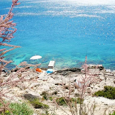 Seabreeze * Vis