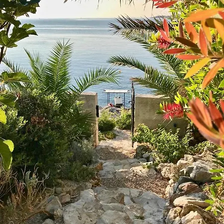 Seabreeze Vis